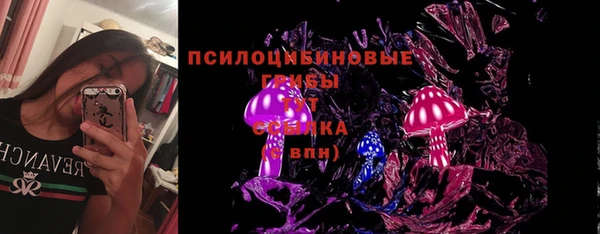 тгк Переславль-Залесский