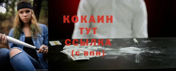 дмт Пересвет