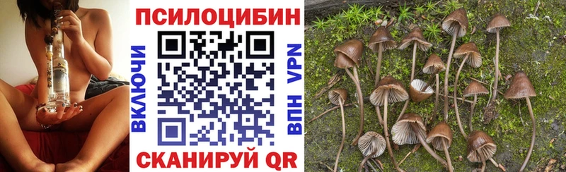 Галлюциногенные грибы ЛСД  Углегорск 