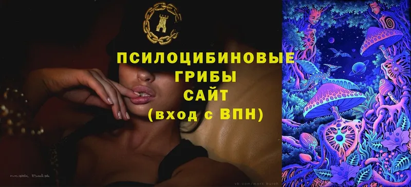 Псилоцибиновые грибы Psilocybe Углегорск